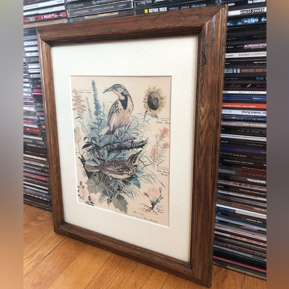 Vintage Arthur Singer ‘Meadowlark’ Print - Picture 4 of 7